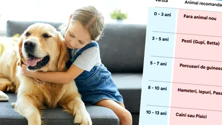 Ce animal de companie să îi cumperi copilului tău, în funcție de vârsta lui