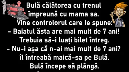 Bancul de miercuri | Bulă merge cu trenul și vine controlorul