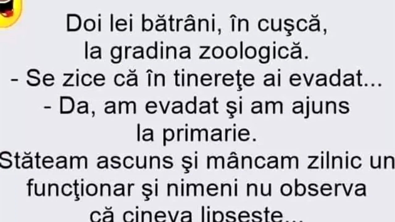 BANCUL ZILEI | Leul și administrația publică