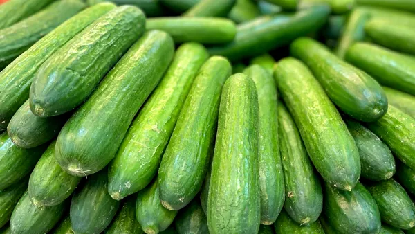 Castravetele, principala legumă exportată de România în 2025: circa 50.000 de tone, peste granite. Care sunt cele mai mari piețe