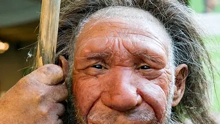 De la cine am moștenit un sistem imunitar mai bun, dar și mai multe alergii