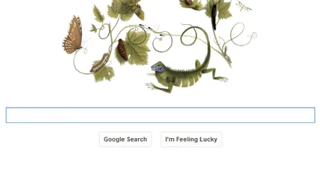 MARIA SIBYLLA MERIAN, intrată în istorie cu desenele ei cu plante și insecte, omagiată astăzi de Google. MARIA SIBYLLA MERIAN, apreciată abia la sute de ani după moartea sa. VIDEO