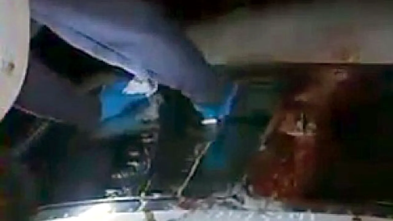 Un avion a aterizat de urgență după ce a lovit două păsări