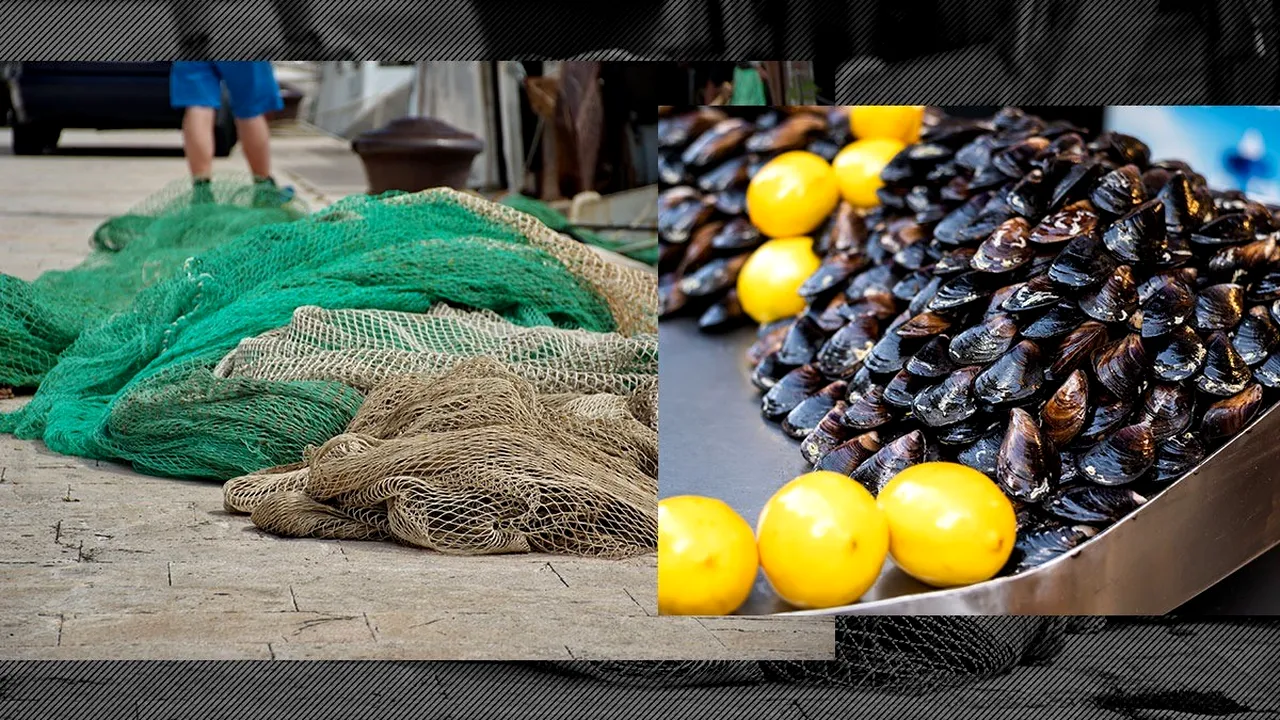 Hoții de MIDII în atenția Ministerului AGRICULTURII/ANPA nu are competențe pentru anchetarea BRACONAJULUI, dar colaborează cu AUTORITĂȚILE