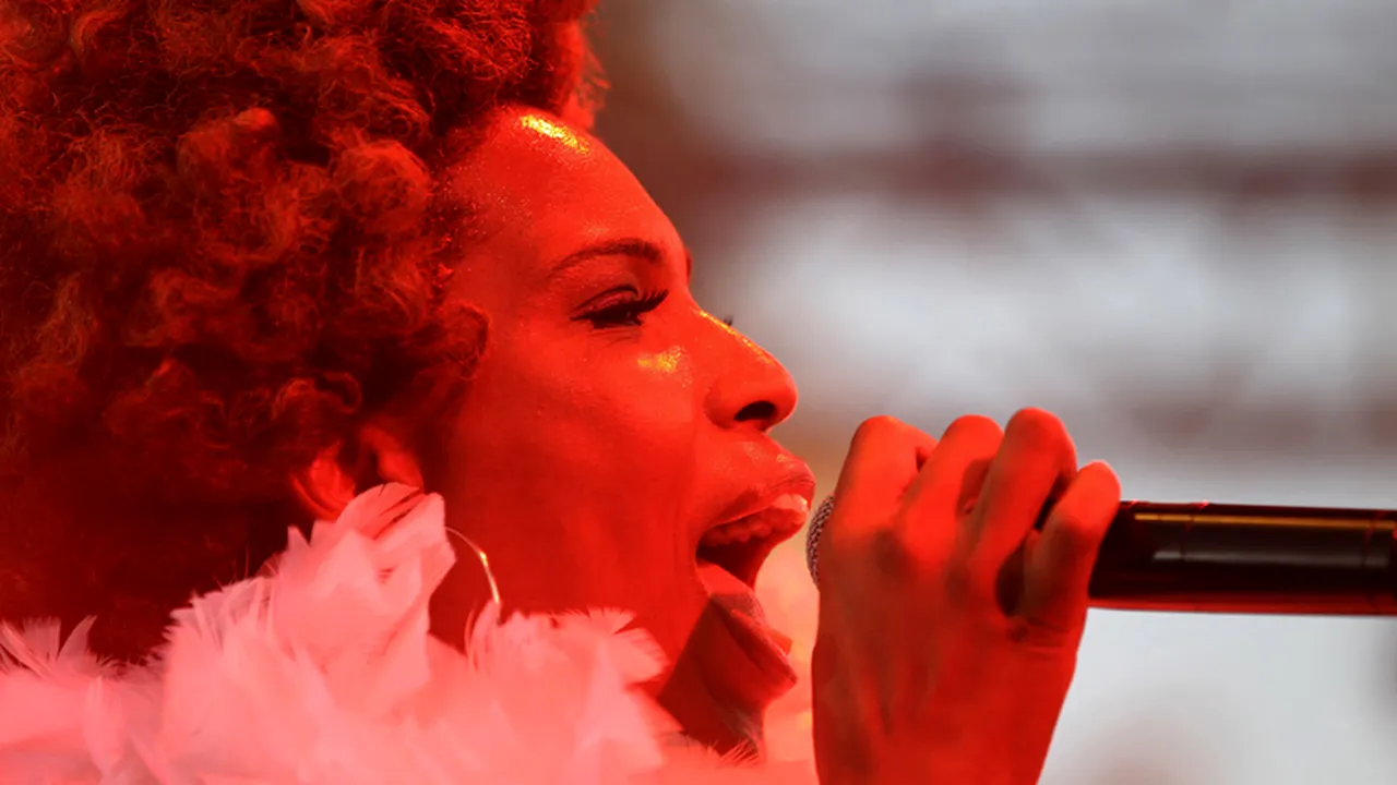 CONCERTE NOIEMBRIE: Macy Gray, Seal, muzică de cameră și operetă