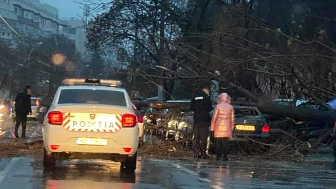 Încă un copac a căzut în Capitală peste trei mașini, pe Calea Giulești!