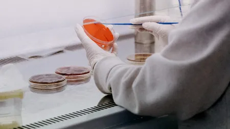 Au fost confirmate peste 1.200 de infectări cu noile tulpini de COVID în România