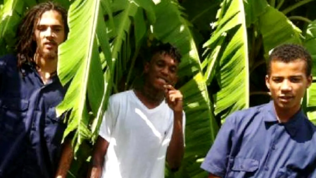 Cel mai eficient sistem antifurt pentru un TELEFON MOBIL: cum i-a găsit poliția pe acești hoți la puțin timp după ce comiseseră jaful