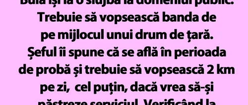 BANC | Bulă își ia o slujbă la domeniul public