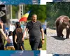 Revolta unui primar din Argeș, după tragedia cu motociclistul omorât de urs/”Ceea ce s-a întâmplat este rezultatul nepăsării instituționale”