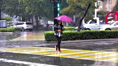 În China, autoritățile vor să studieze 