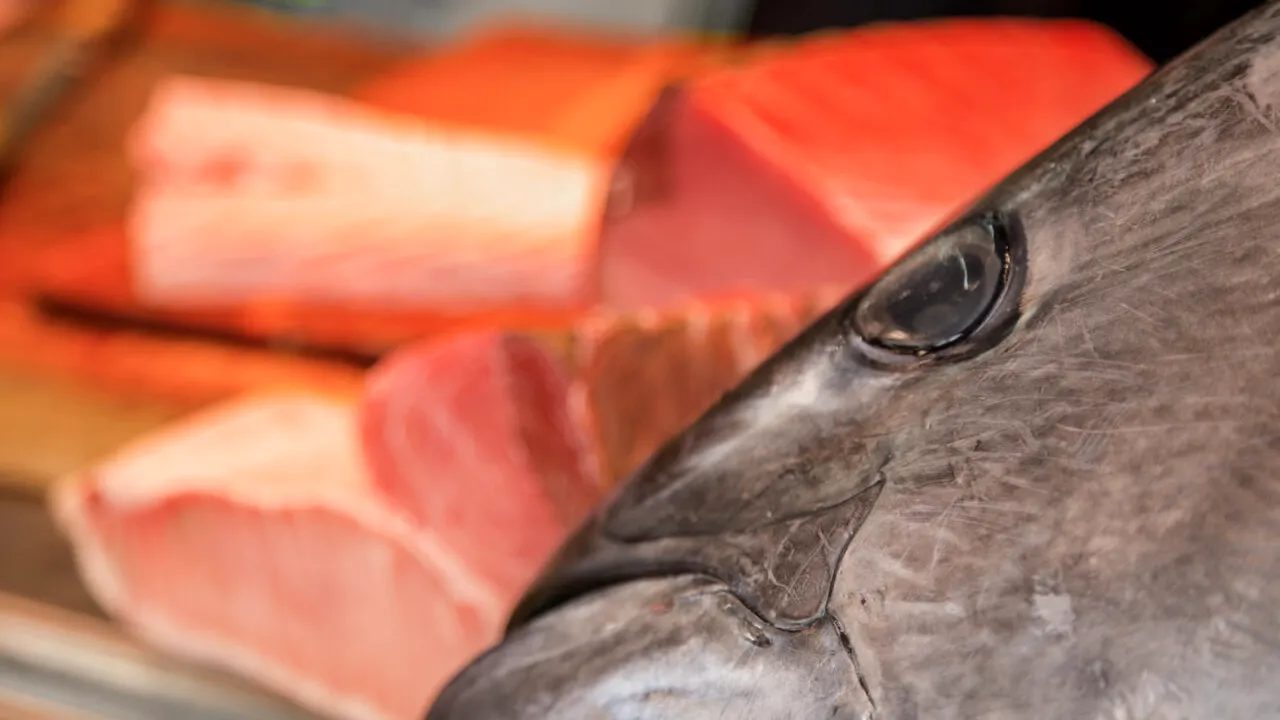 A plătit 3,2 milioane de dolari pentru un ton roșu uriaș, la licitația de pește de la Tokyo