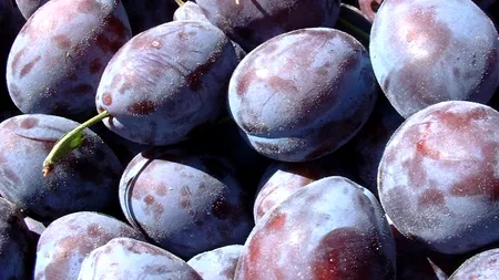 REȚETĂ GĂLUȘTE CU PRUNE. Trei metode simple de a le prepara