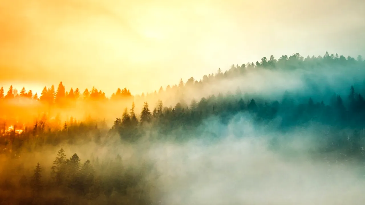 Avertizare meteo: Ceață densă și polei în mai multe zone ale țării