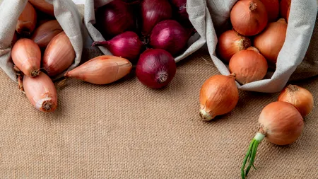 Cum se depozitează CEAPA în condiții optime, pentru a beneficia cât mai mult timp de una dintre cele mai consumate legume