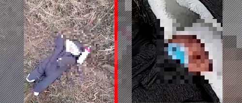 UPDATE: Imagini cu puternic impact emoțional! Bebelușă ABANDONATĂ pe câmp, la marginea unui sat din Sibiu. Mama a lăsat o sticlă de lapte lângă ea - VIDEO