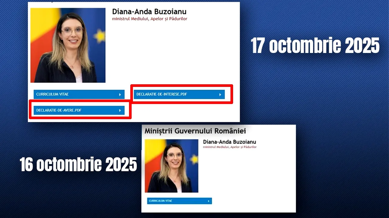 Gândul a scris, Guvernul a reacționat. Declarațiile de avere și de interese ale Dianei Buzoianu, ministra Mediului, au fost publicate pe site