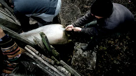 Attila Korodi: Peste 250 de localități din România sunt vulnerabile la poluarea cu nitrați