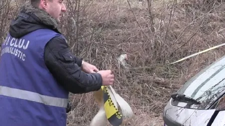 Pe un drum comunal din Jucu de mijloc, Cluj, au fost descoperite rămășițe umane