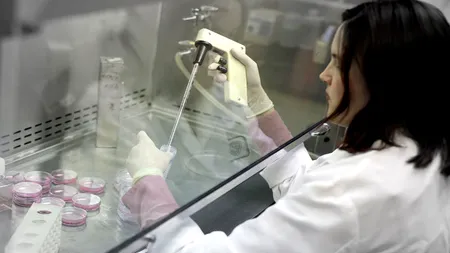 Chimioterapia, prin lezarea celulelor sănătoase, poate alimenta cancerul - STUDIU