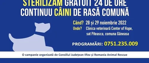 Consiliul Județean Ilfov desfășoară o campanie de sterilizare gratuită a animalelor de companie (P)