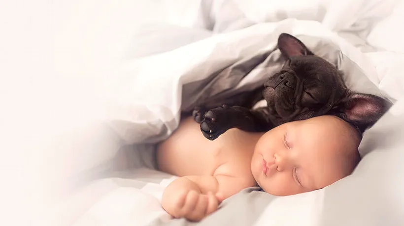 Stăpânii de câini au bebeluși mai sănătoși. Explicația cercetătorilor