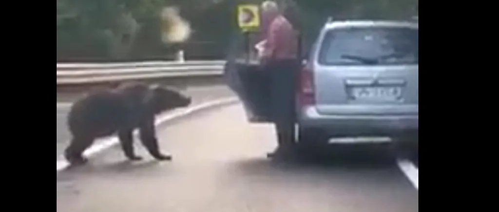 Bărbat din Vrancea, filmat când hrăneşte şi se apropie periculos de un urs flămând