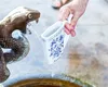 Orașul din România care are izvoare infectate cu BACTERII și E.coli. Oamenii continuă să bea apă din ele: „Ce bacterii să aibă?”