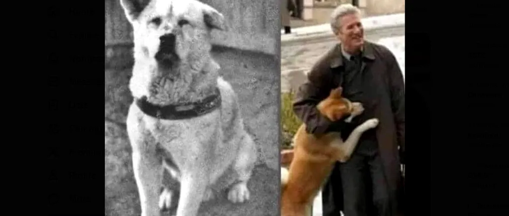 VIDEO | 100 de ani de la nașterea lui Hachiko, cel mai loial câine din lume / Și-a așteptat 10 ani stăpânul, fără să știe că acesta a murit