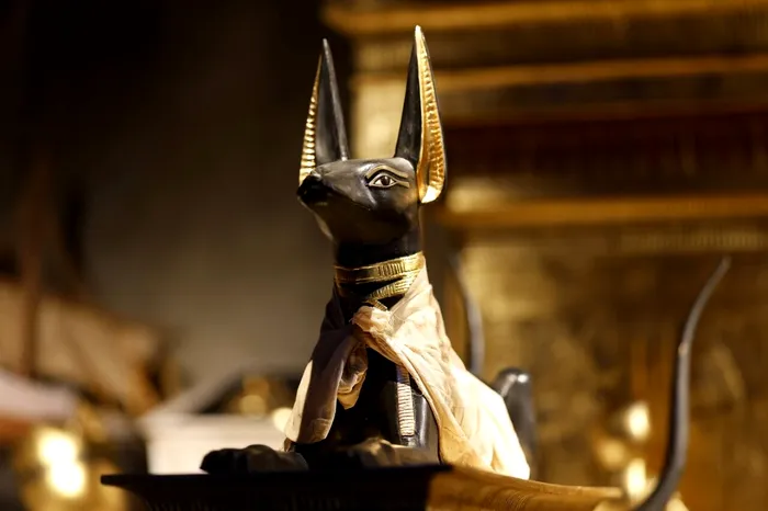 Anubis era un zeu al mumificării și al vieții de apoi. Reprezentat sub forma unui șacal antropomorfizat, Anubis supraveghea mumificarea, cântărea sufletele, ghida morții în viața de apoi, îi apăra împotriva haosului 