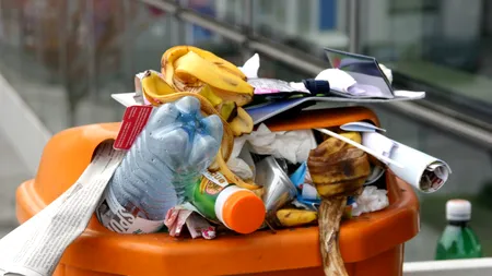 (P) SALUBRIZARE 5: Un oraș mai curat, un habitat mai sigur pentru fauna locală