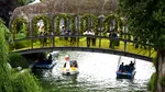 Începe West Side Flower Fest, se închide o parte din Bulevardul Drumul Taberei. Apelul primarului Ciprian Ciucu: „Lăsați mașinile acasă”