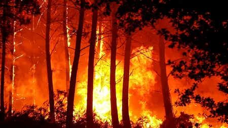 VIDEO Arafat: România va trimite 77 de pompieri în Franța pentru a ajuta la stingerea incendiilor de vegetație