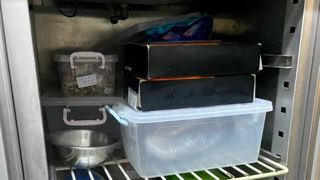 Piedone a închis un alt restaurant chinezesc. Funcționa fără autorizație și era o mizerie de nedescris