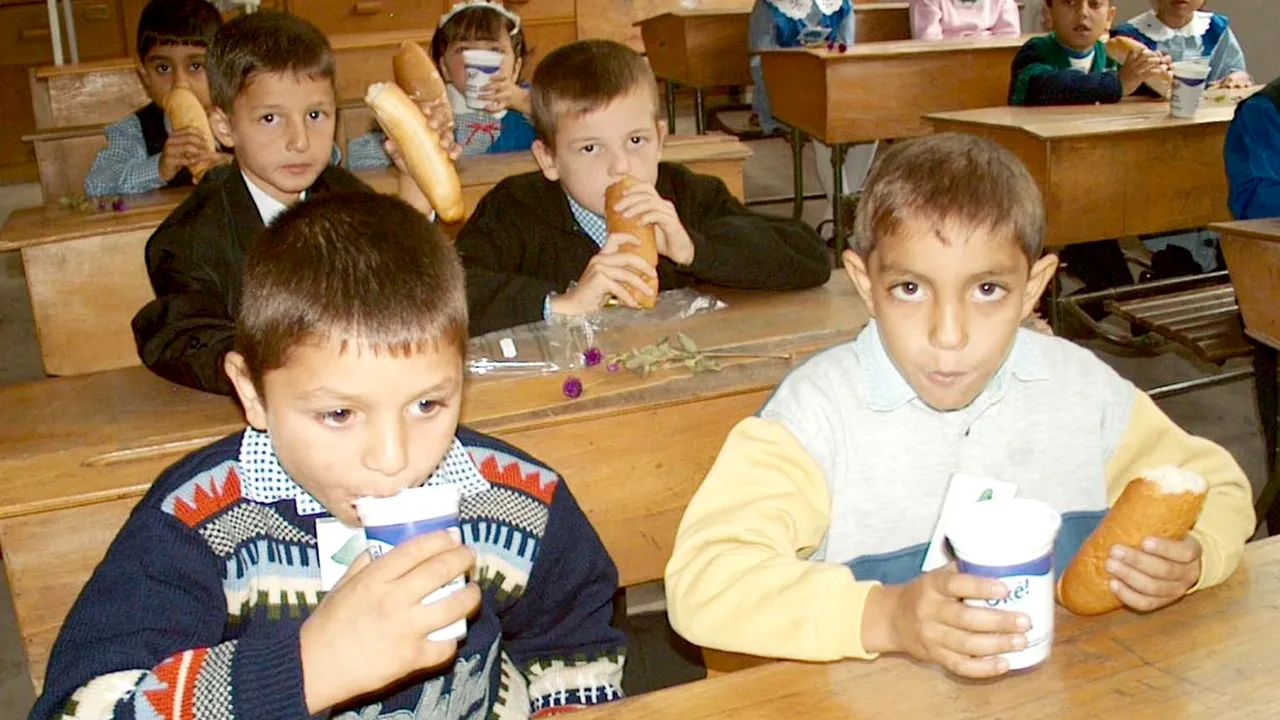 Elevi ÎN PERICOL! LAPTE infestat CU VIERMI a ajuns într-o școală din Bistrița-Năsăud. Reacția autorităților