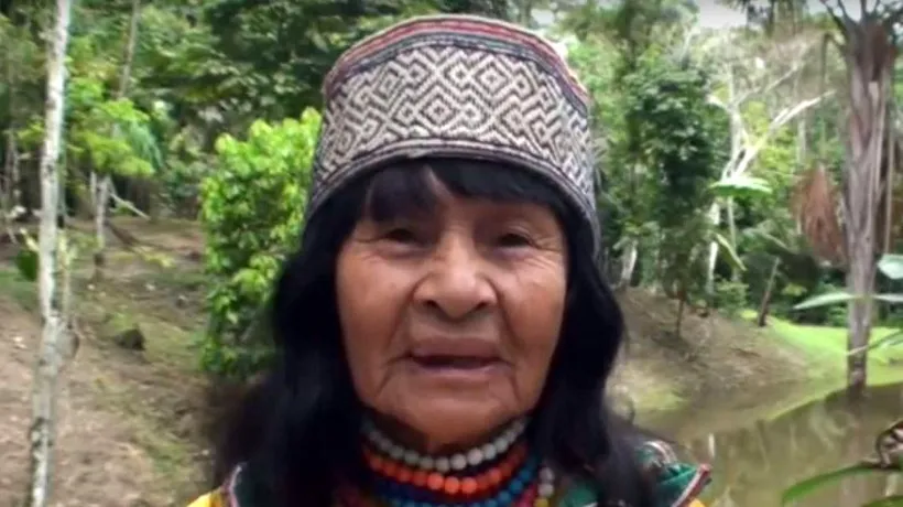 Un canadian a fost linșat de un trib amazonian, după o acuzație privind uciderea unei tămăduitoare locale. Turistul se afla acolo pentru a deveni expert în „știința plantelor halucinogene
