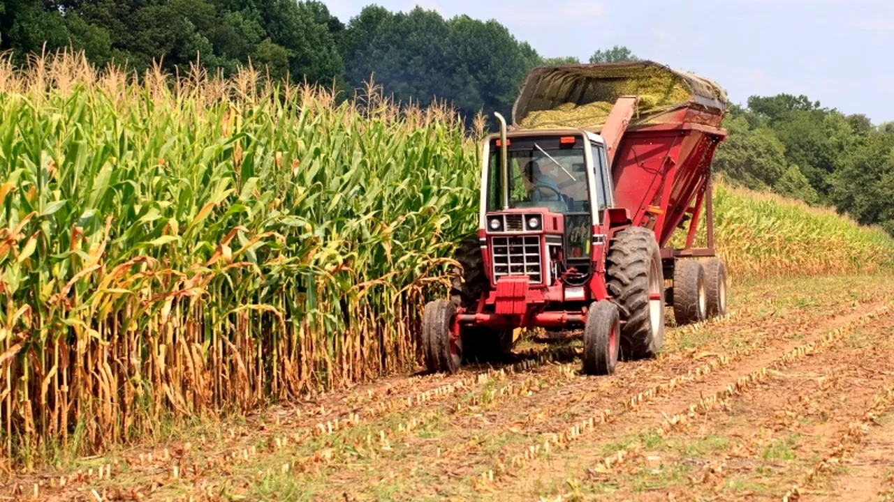 Cât de mult va afecta România interdicția Rusiei privind importurile de alimente din UE: Reacția ministrului Agriculturii