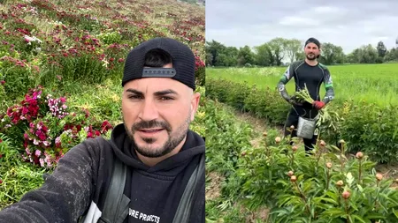 Suma fabuloasă pe care o câștigă un român, ca muncitor pe câmp în Anglia: 