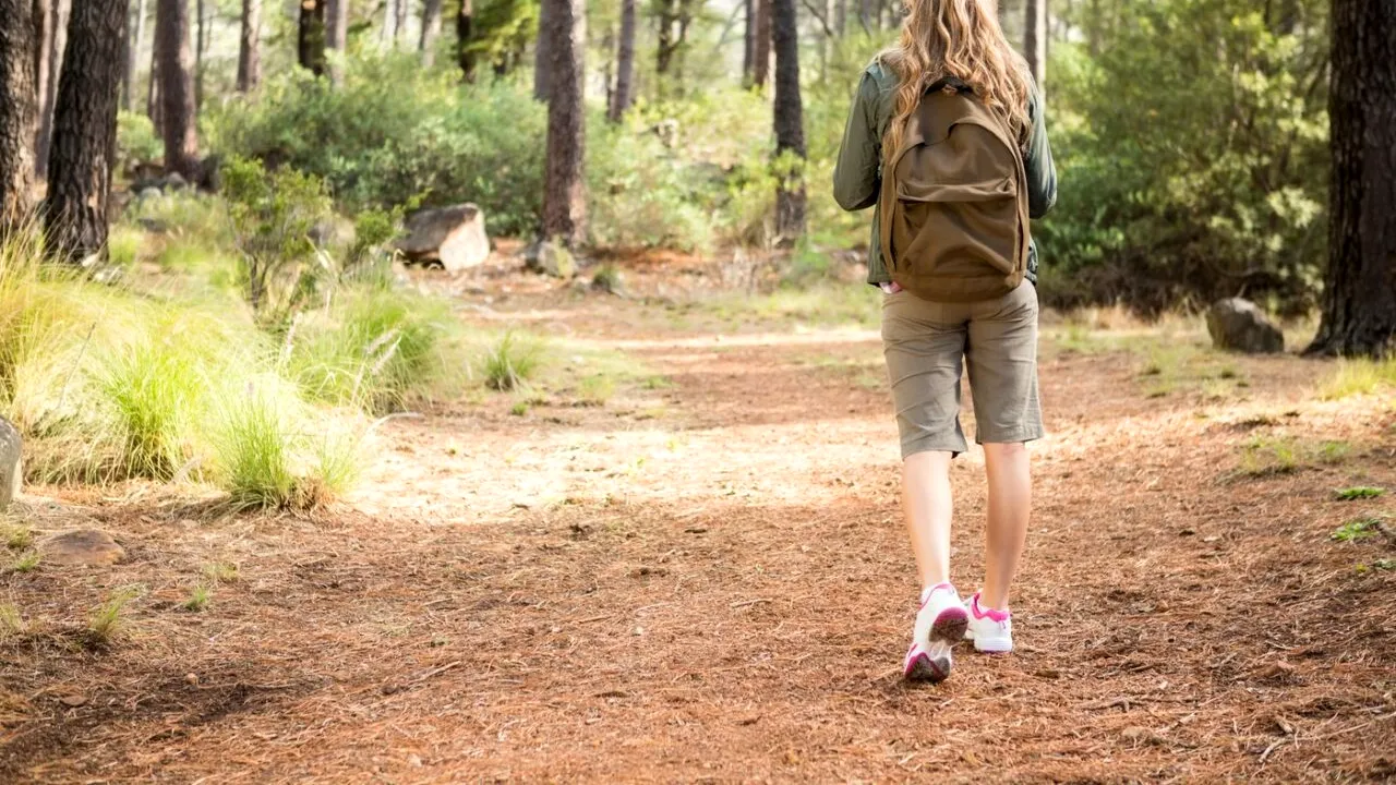 Traseu montan ușor: Poteca Regală din Sinaia / Drumul pe care urca REGELE de la Castelul Peleș până la Poiana Stânii Regale