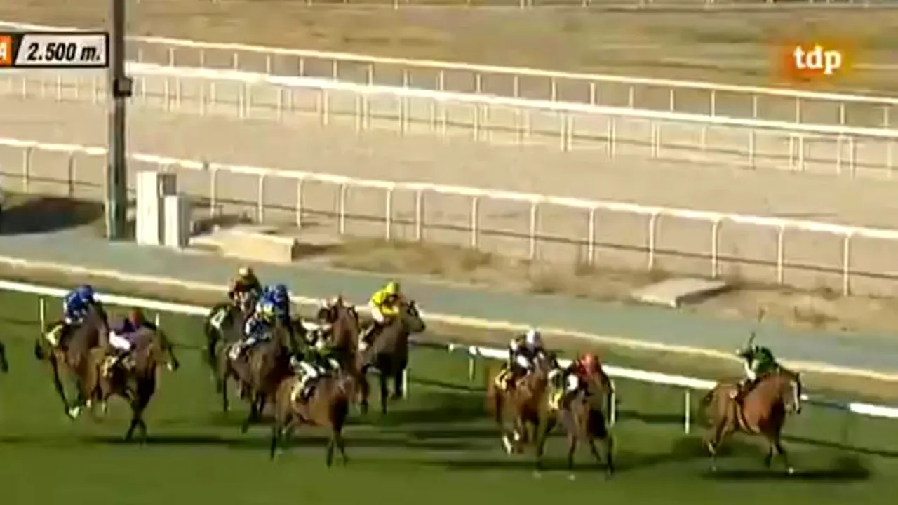 VIDEO. Moment emoționant la Marele Premiu al Madridului la hipism. 