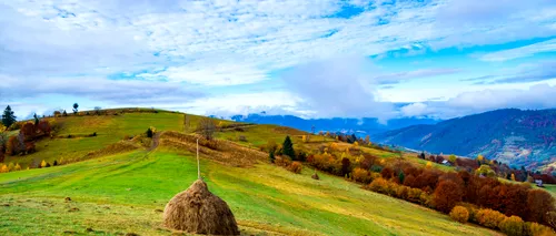 Satul din România cumpărat, în întregime, la prețul unui apartament! Are un singur locuitor