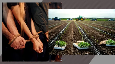 Un afacerist român a ajuns, din greșeală, SCLAV într-o tabără de muncă din Marea Britanie. A evadat cu hainele de pe el