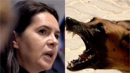Se înmulțesc atacurile câinilor fără stăpân! Incident grav, după ce Adriana Săftoiu a fost mușcată de un patruped