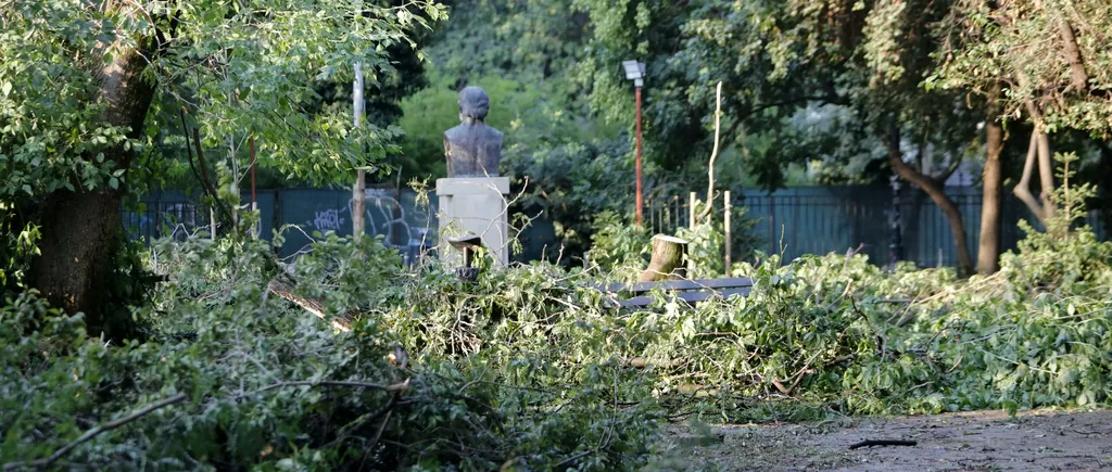 Furtuna a făcut RAVAGII și în Parcul Grădina Icoanei din București. Copaci puși la pământ de vântul puternic