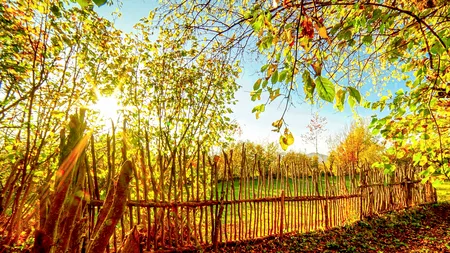 Vreme CALDĂ în al doilea weekend din noiembrie. Temperaturi cu până la 6 grade mai mari decât media perioadei