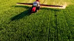 Peste 2,5 milioane de euro pentru dezvoltarea satelor. Ministerul Agriculturii suplimentează fondurile pentru GAL-urile performante