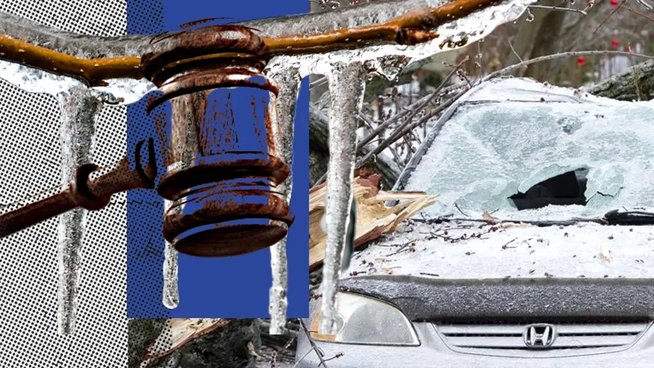 EXCLUSIV | Autoritățile locale sunt responsabile pentru copacii căzuți pe mașini după prăpădul de la ploaia înghețată din 2019. Cum a reușit un bucureștean să recupereze daunele și să demonstreze că ADP Sector 6 nu și-a făcut treaba - FOTO