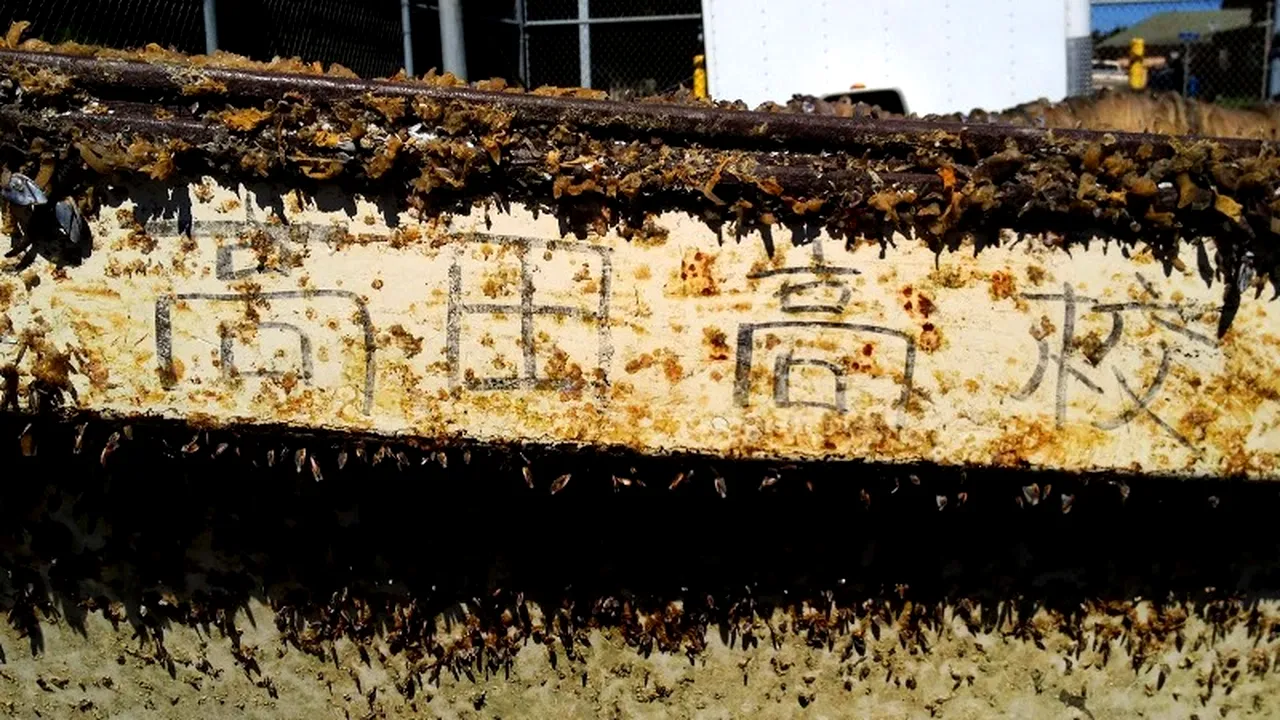 O primă epavă a tsunamiului din Japonia a atins coasta statului american California