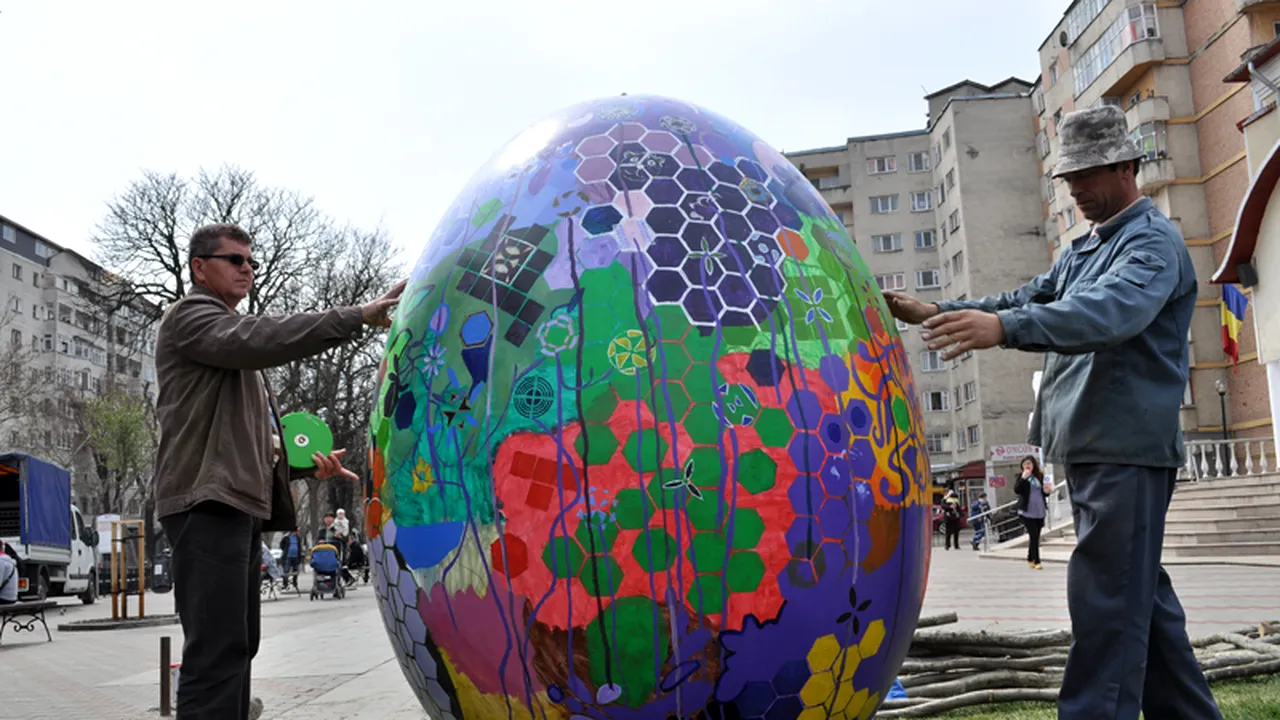 OUĂ GIGANT în Bistrița. 