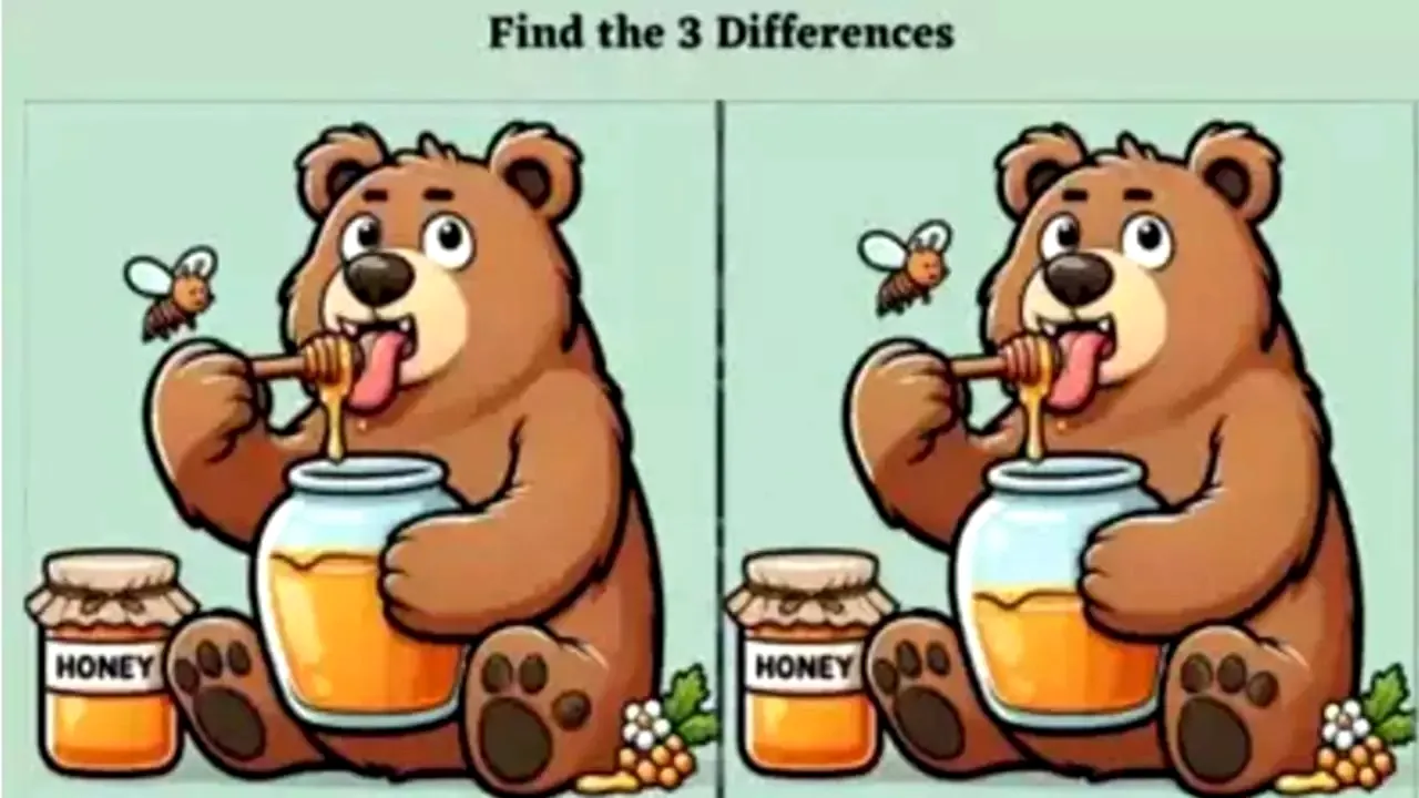 TEST | Ursulețul pofticios. Descoperă cele 3 diferențe esențiale